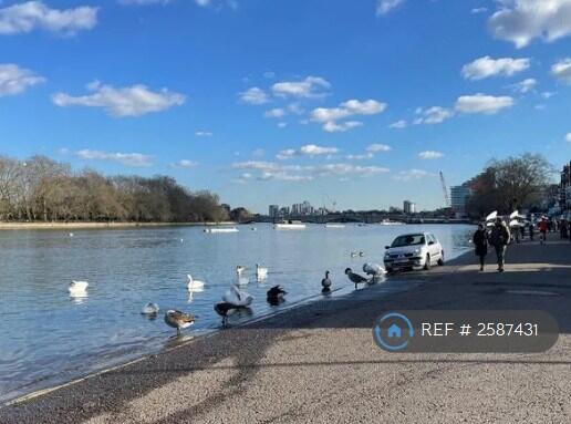 Putney River Bank