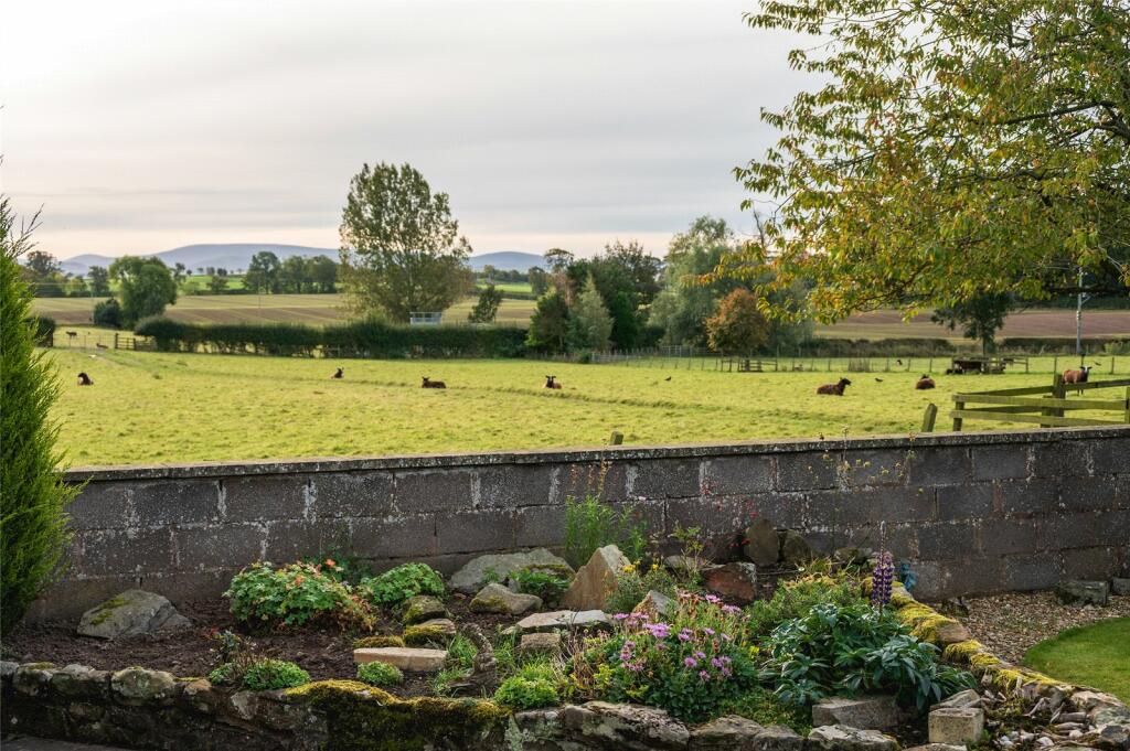 View From Garden