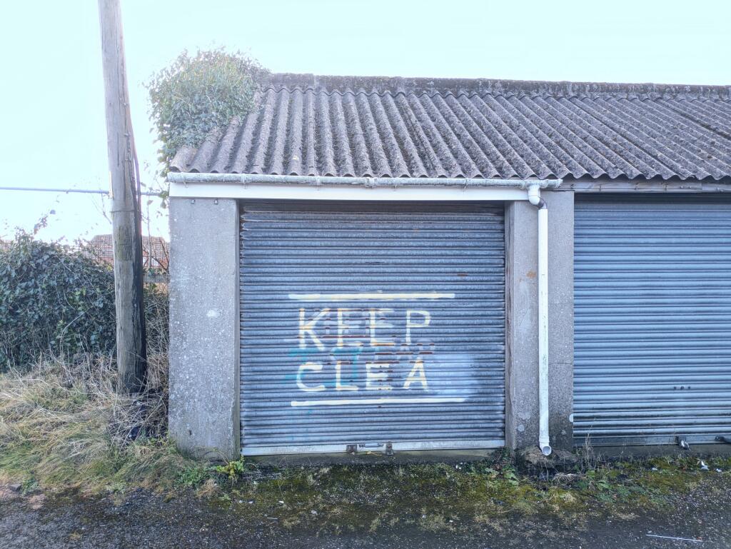 PXL_20250131_114622239.MP~2