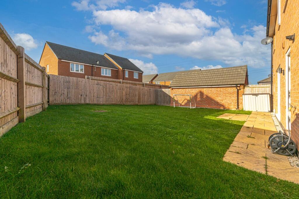 Back garden