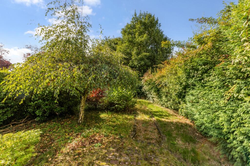 97851_2-Woodbine-...