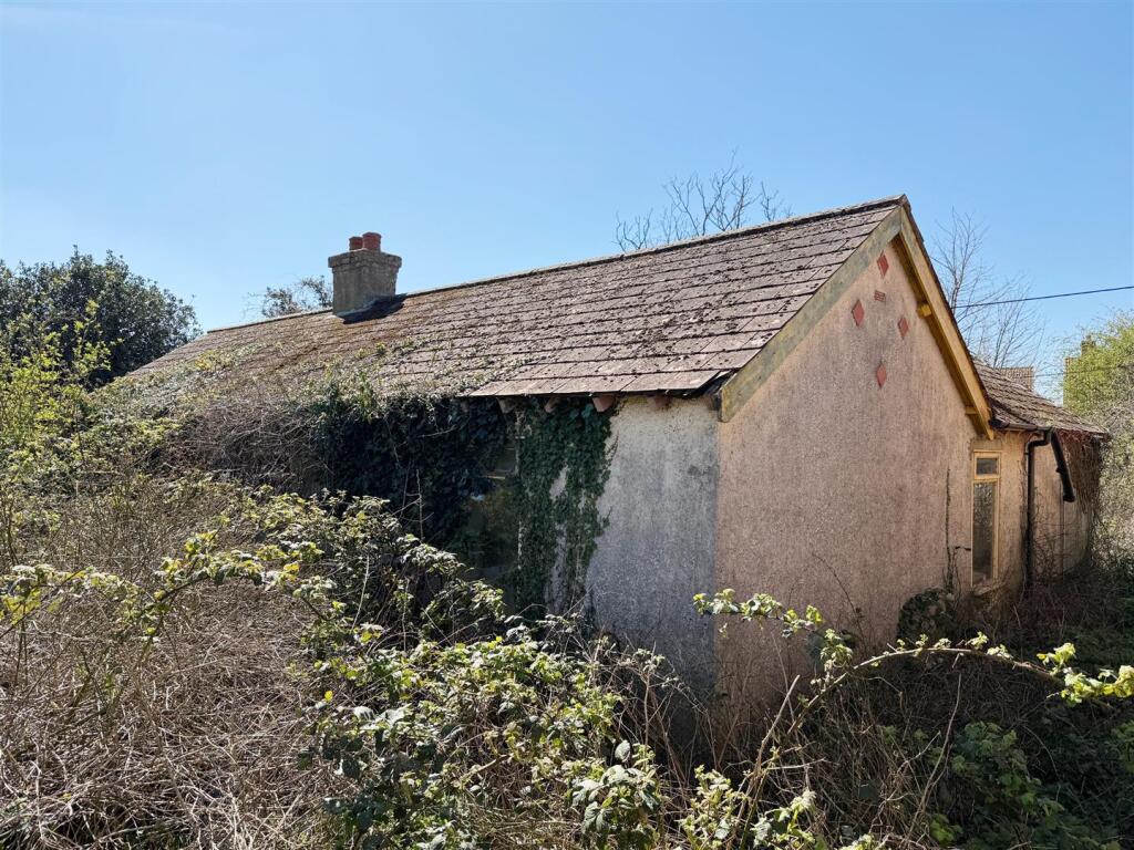 41998-new 54 single 1.jpg