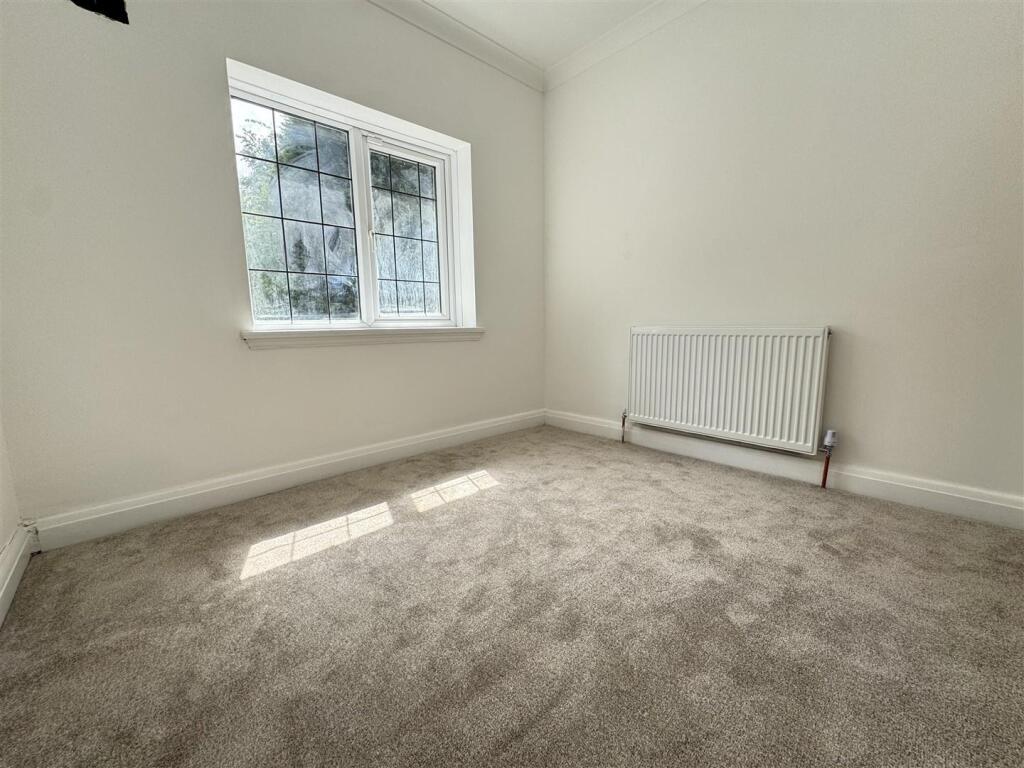 IMG_8669 (Large).JPG