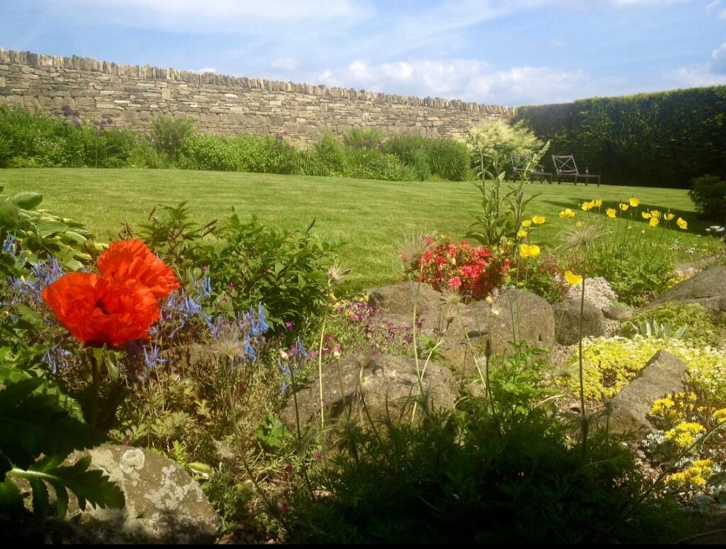 Garden (6)
