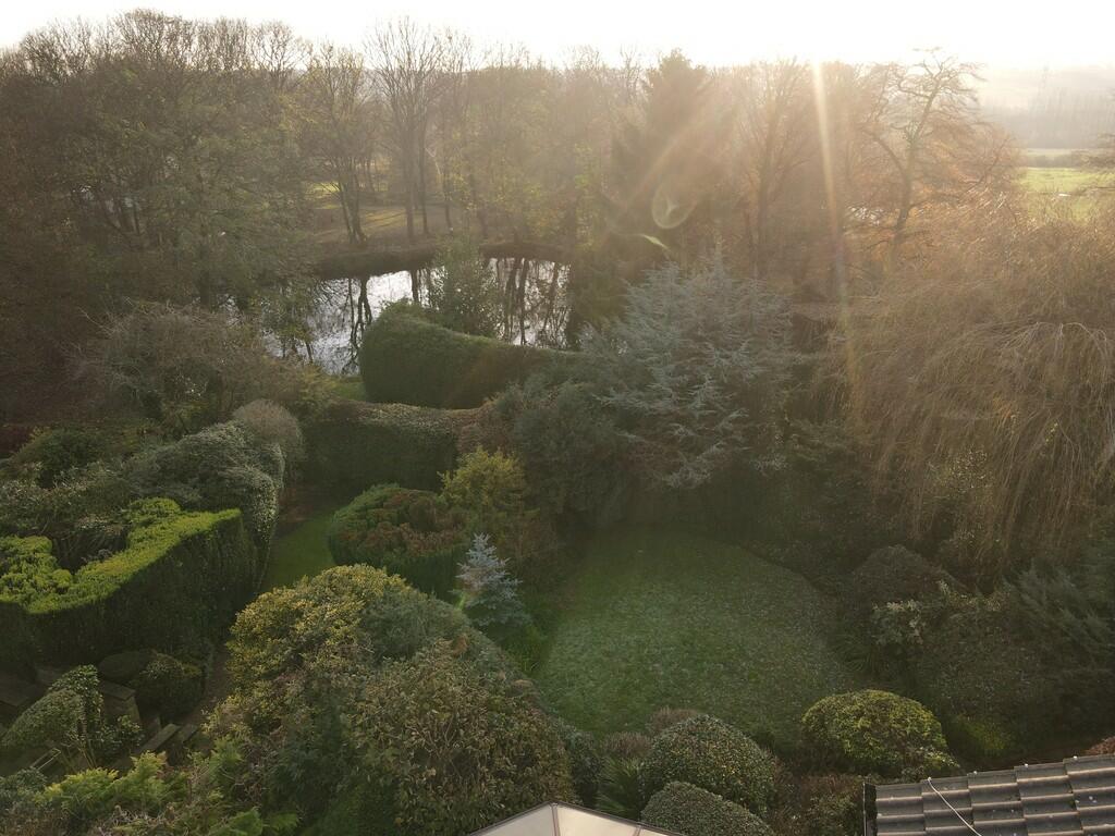 ponds