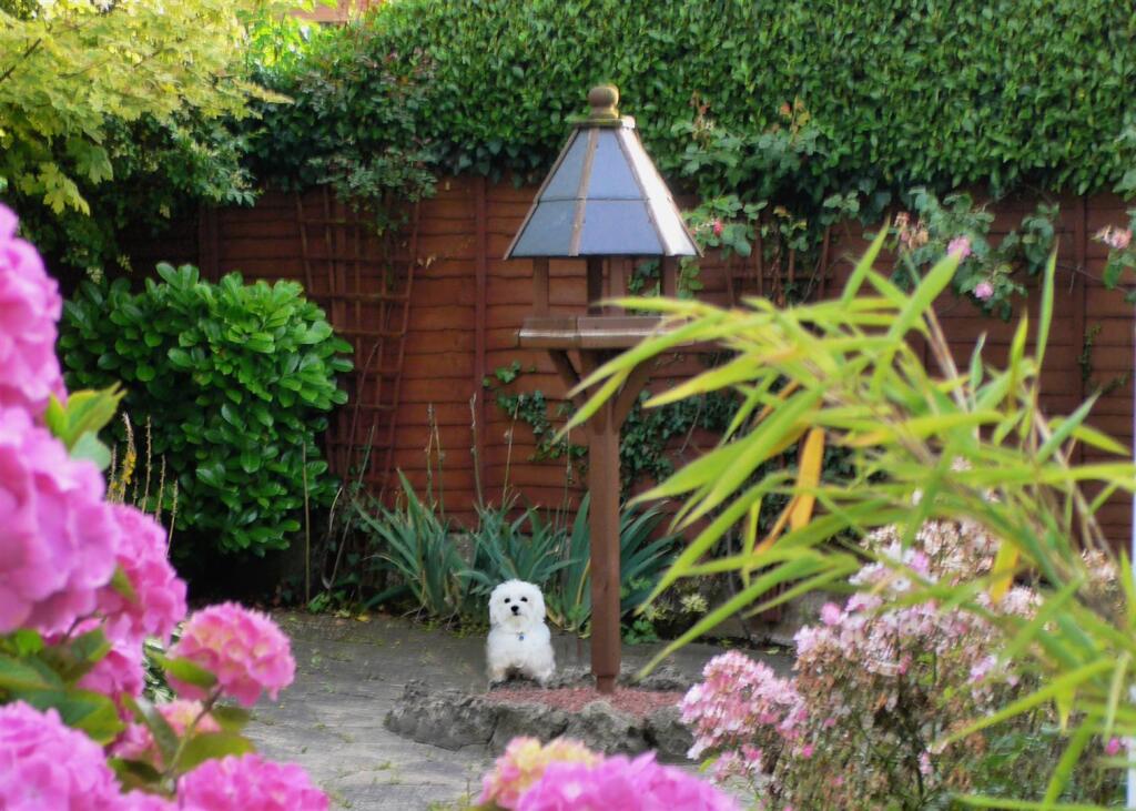 Linden Cottage Garden 2.jpg