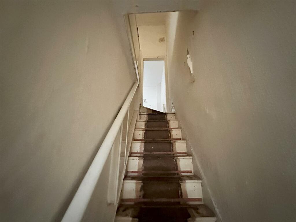 S1.jpg