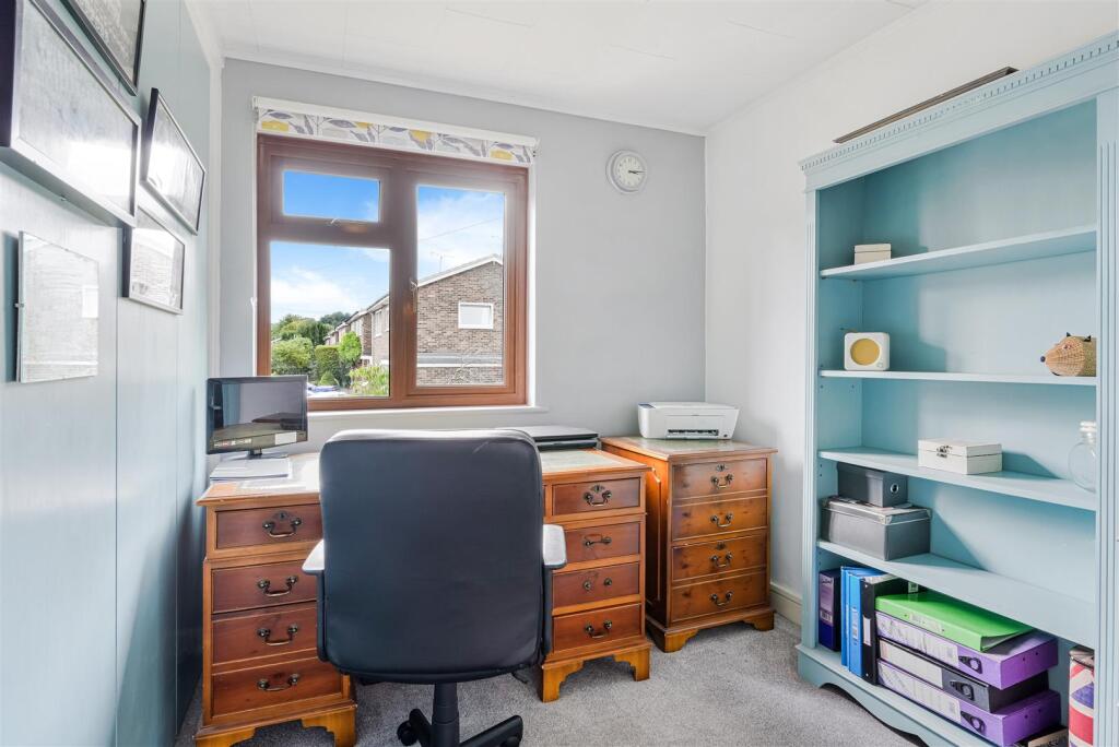 ROSE BUSHES, 63 (15).jpg