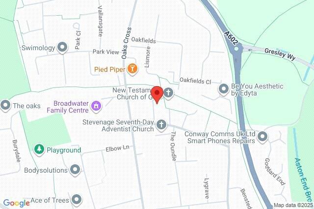 Google Maps Image