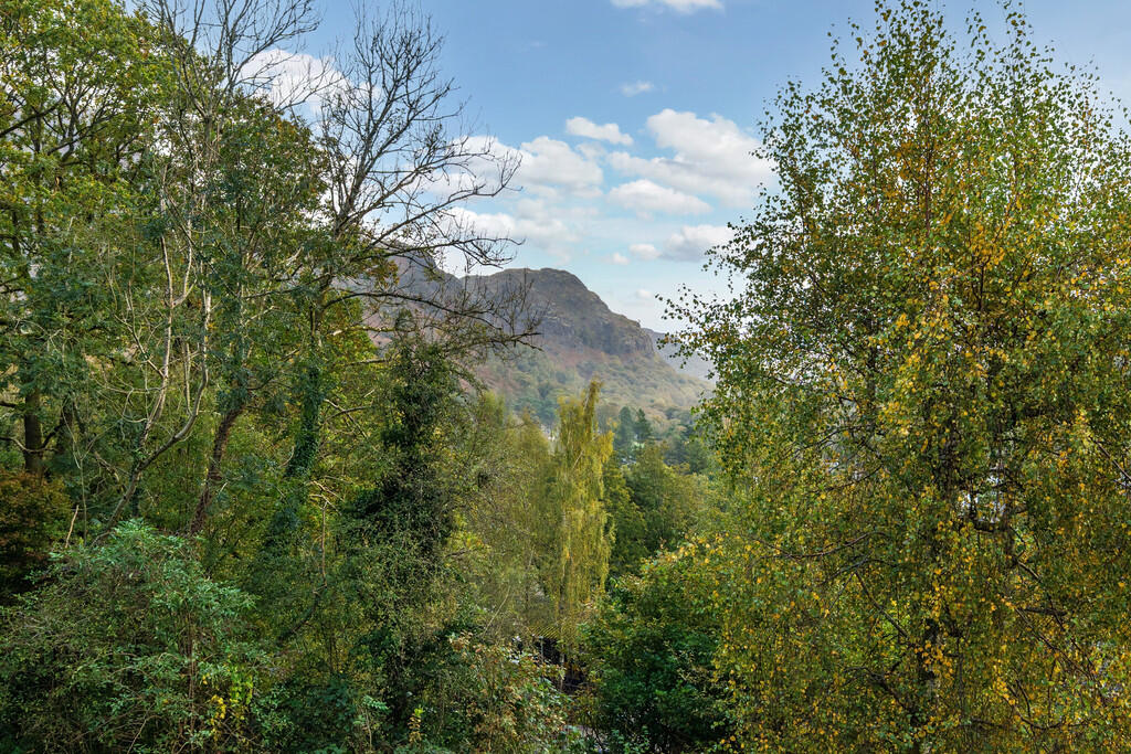 Woodland and Fell...