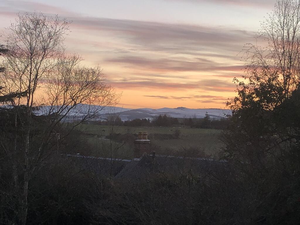 Bedroom View