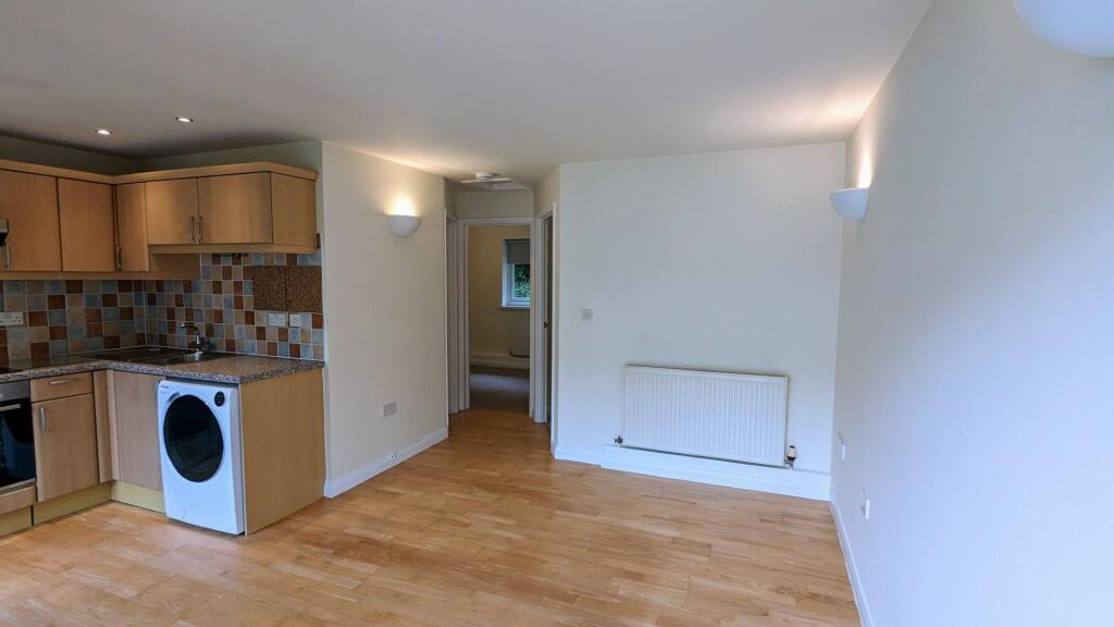 PXL_20230414_153810912 (Large).jpg