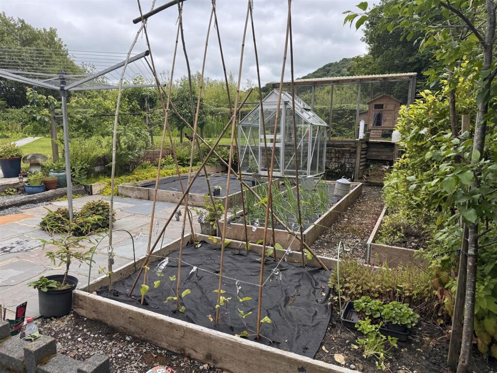 IMG_7894.jpeg