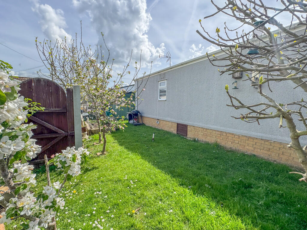 SIDE GARDEN 1