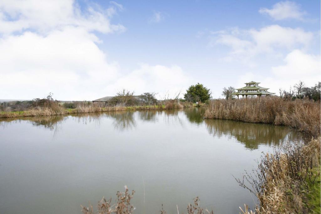 Fishing Lake