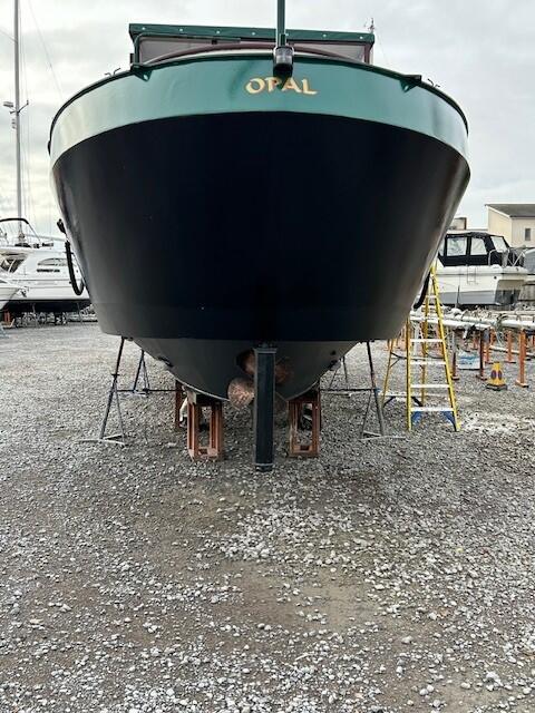 Out of the water 4