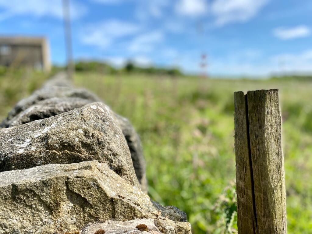 Photograph 16