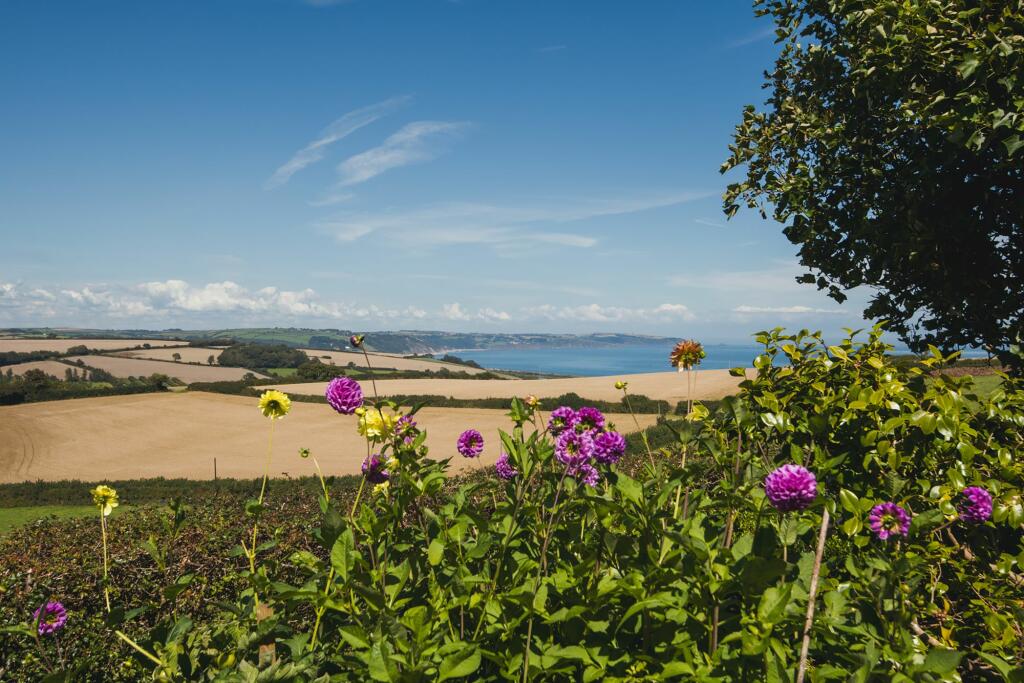 Widdicombe Lodge_Views_Widdicombe