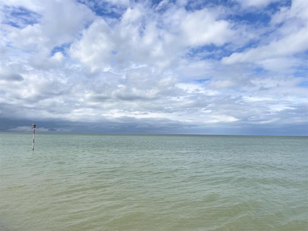IMG_4385.jpeg