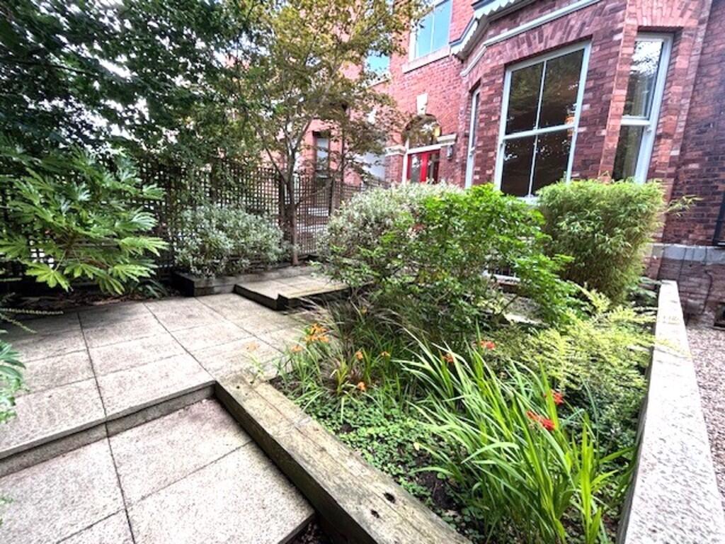 stclemfrog