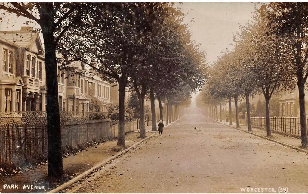 Park Avenue back in the day.