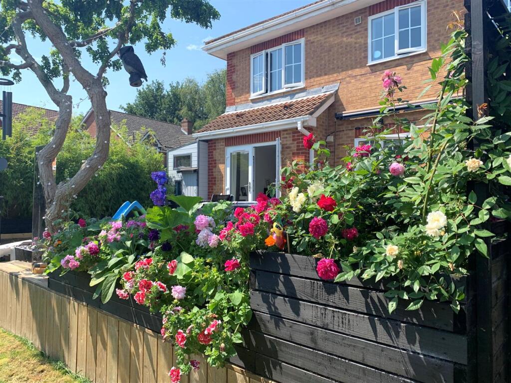 garden 3.jpg