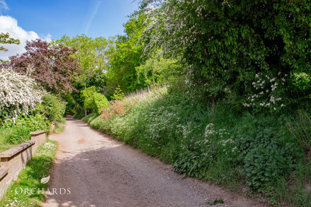 View Up The Lane