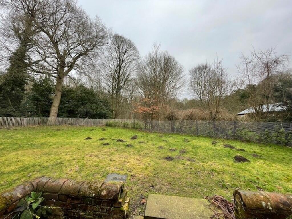 Back garden 2