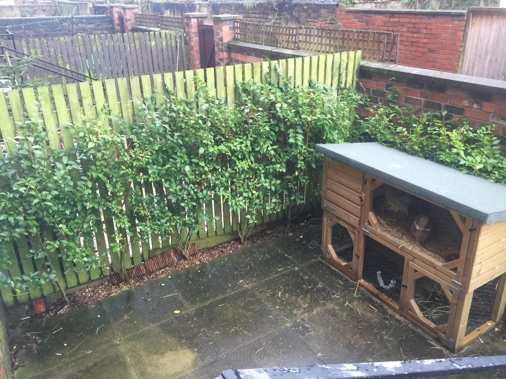 Rear Courtyard