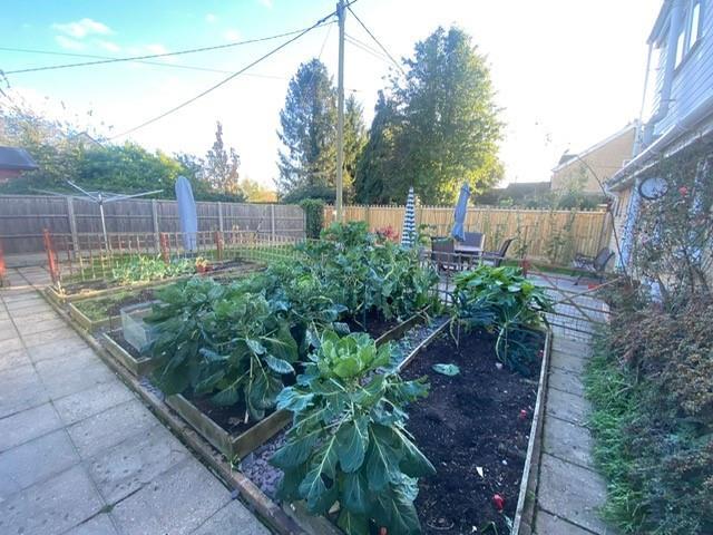 veg.jpg