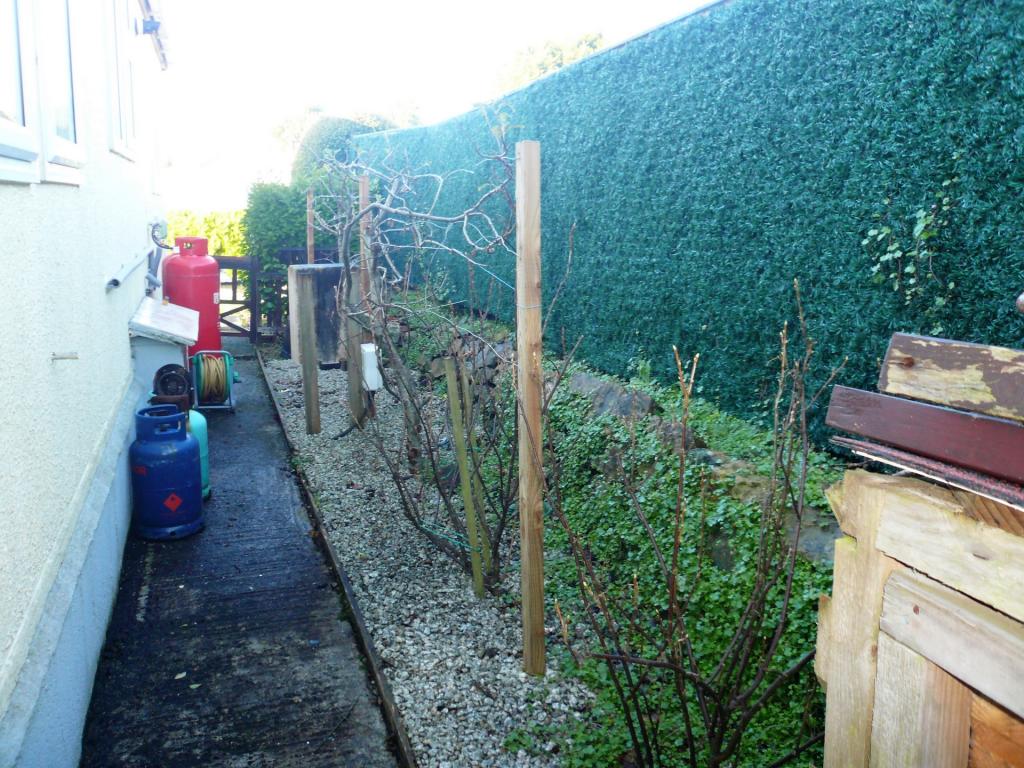 Side Garden