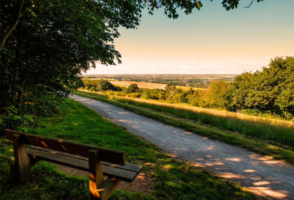 Nuneaton country views