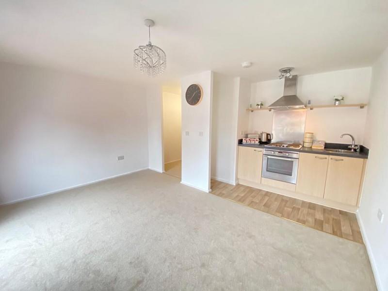 Open Plan Lounge/ Kitchen/ Bedroom