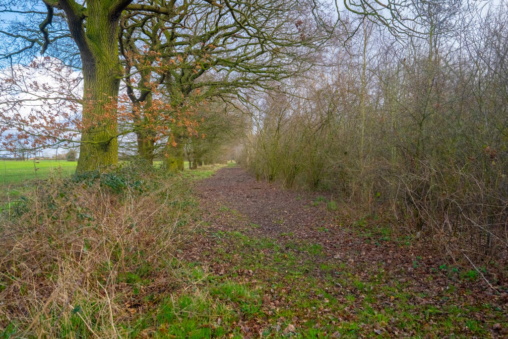 easthaggfarmground1