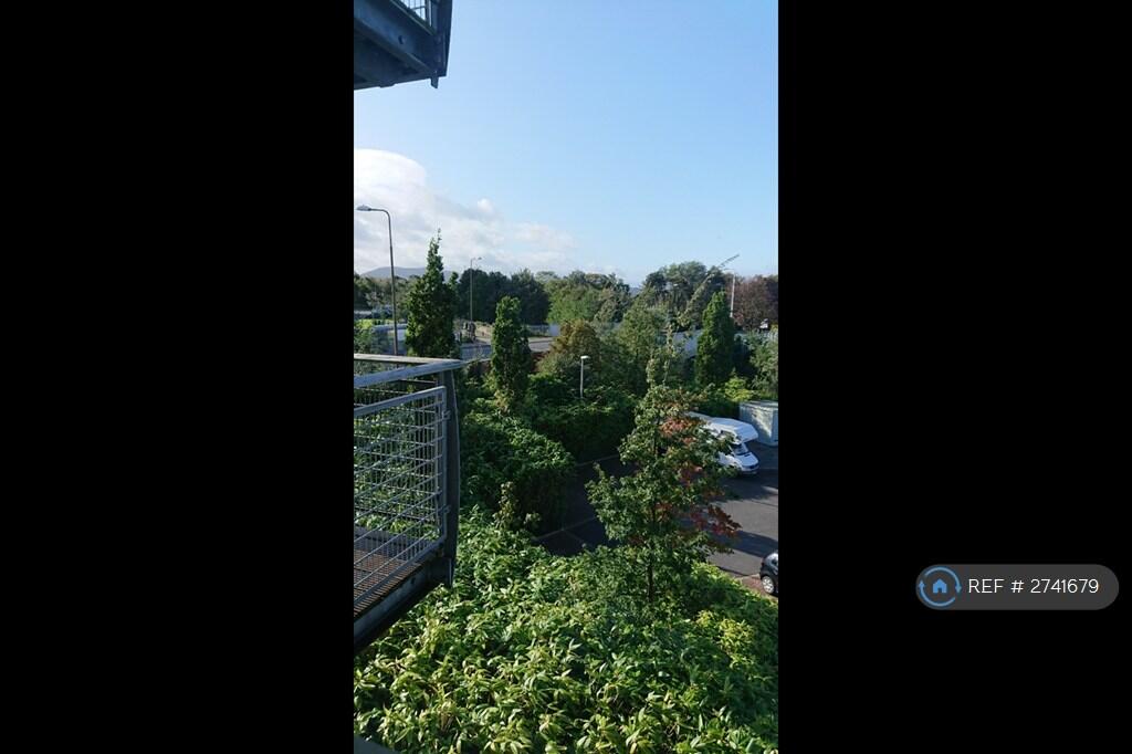 Balcony View Summer