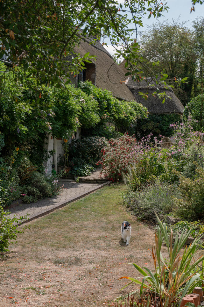 306290 - _A747632.jpg