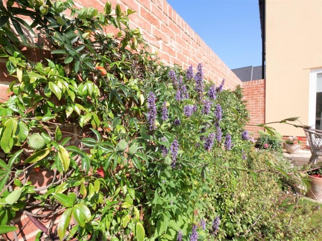 GARDEN4