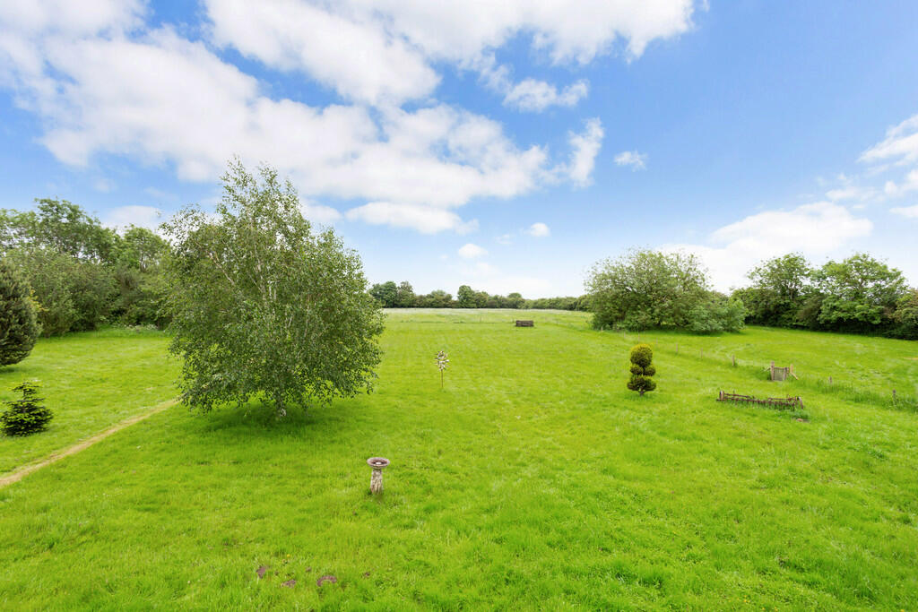 71431_The-Dairies...