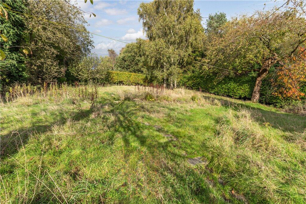Expansive Land