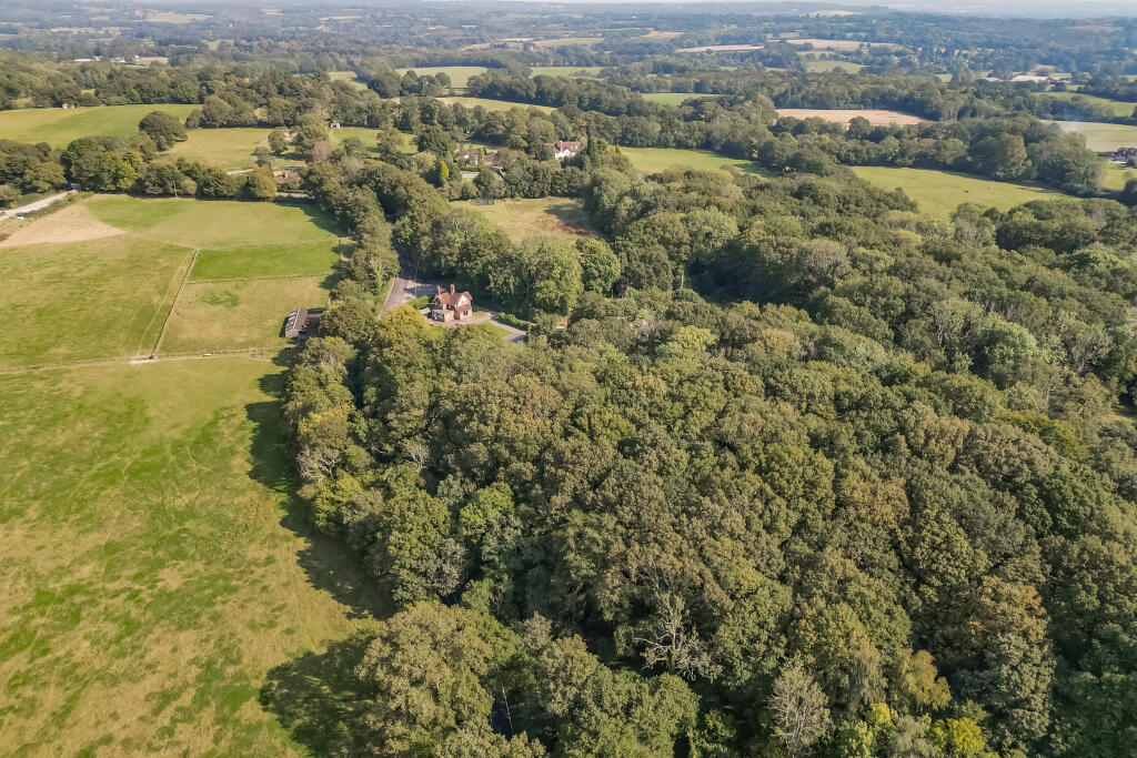 Aerial rear