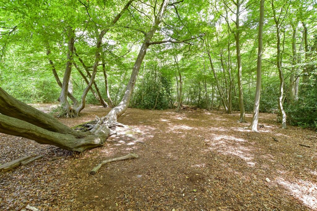 Surrounding Area