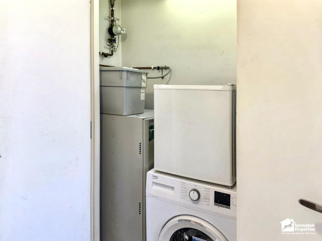 IMAGE 6