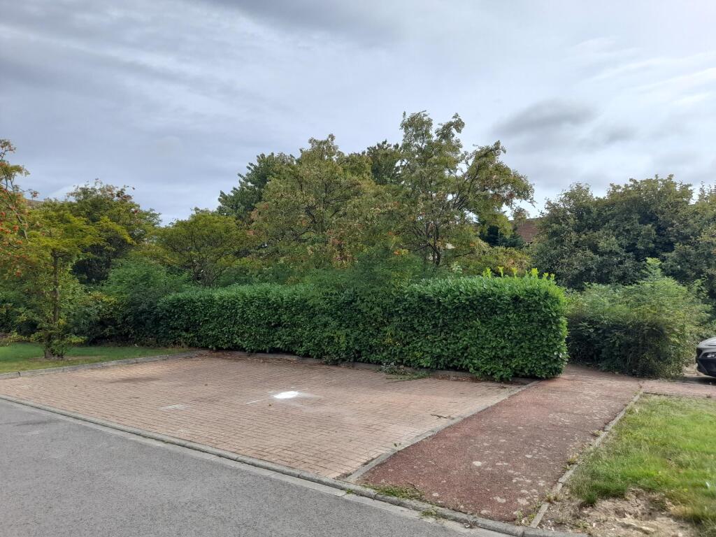 20250811 104030 T202508121619.jpg