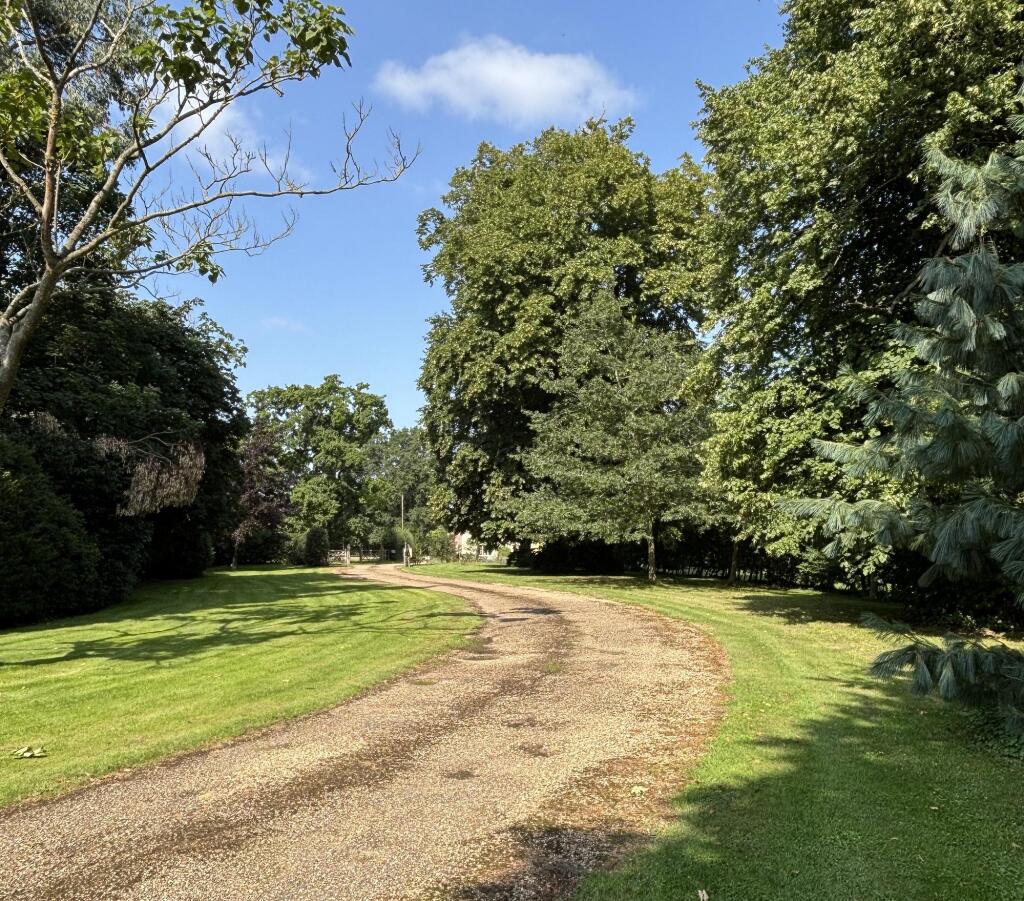 Driveway