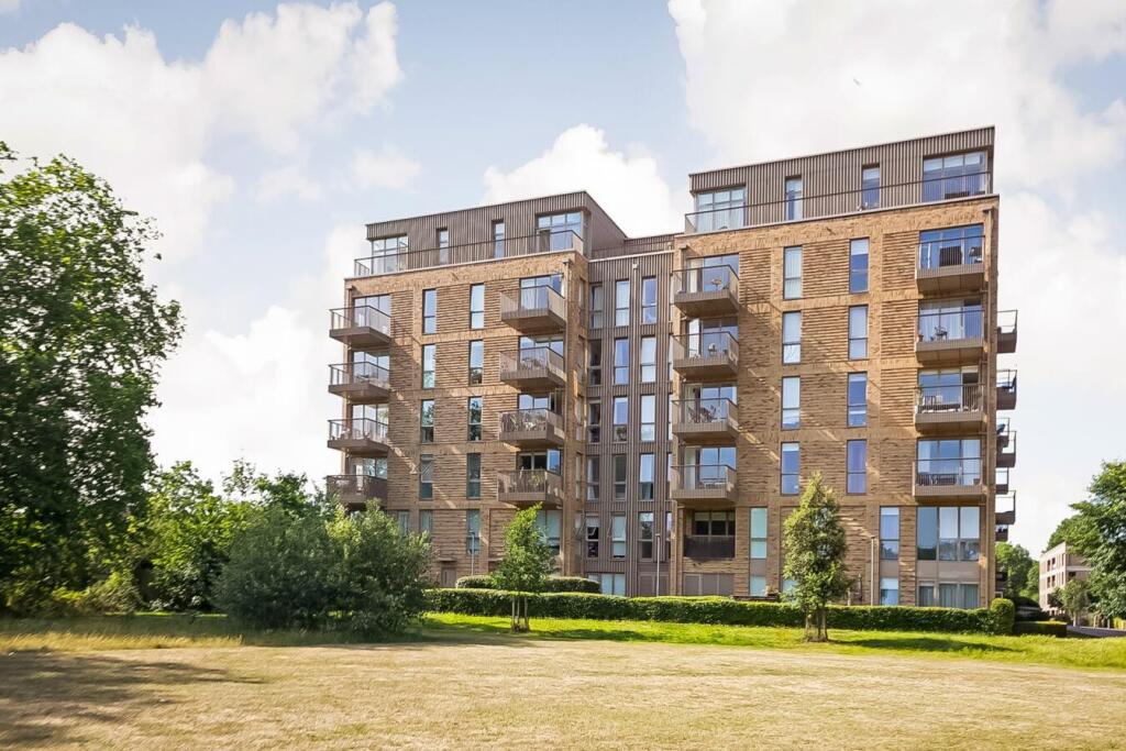 IMG_2950-1-1500x1000 2.jpg