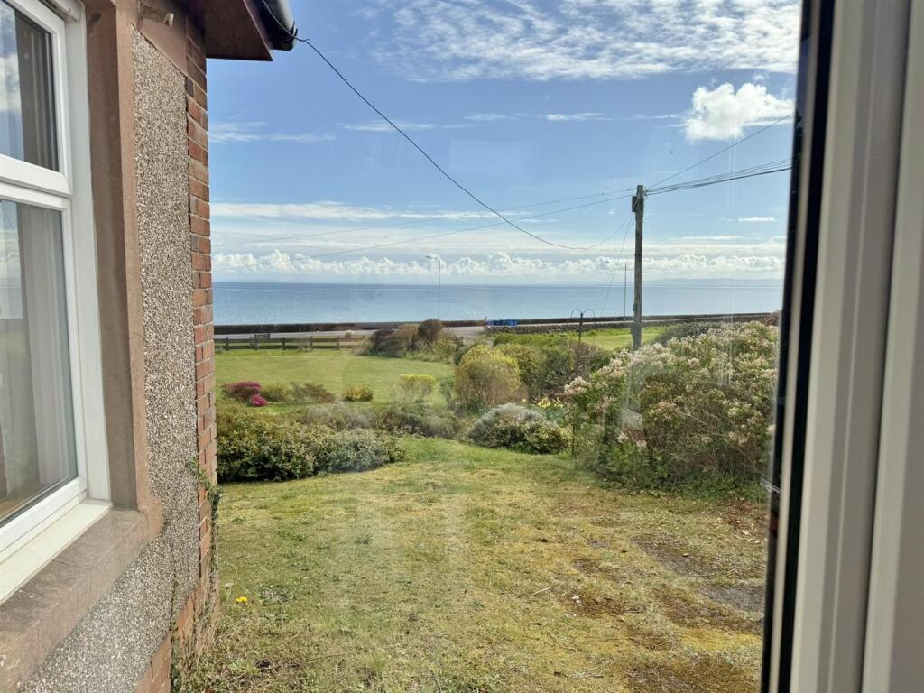 View from the sun room