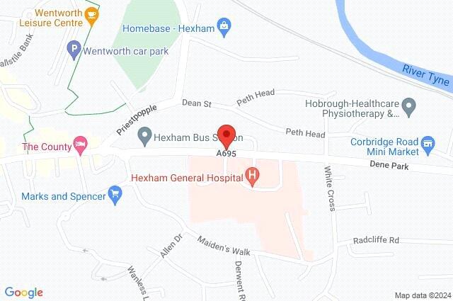 Google Maps Image