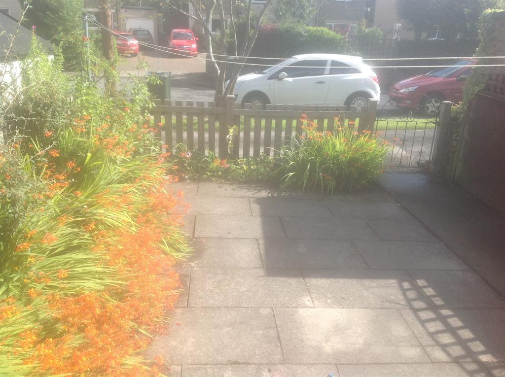 garden back.jpg