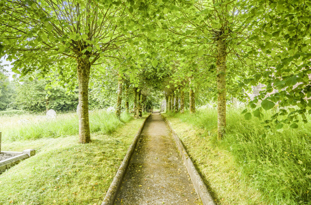 Knowstone, Seddons