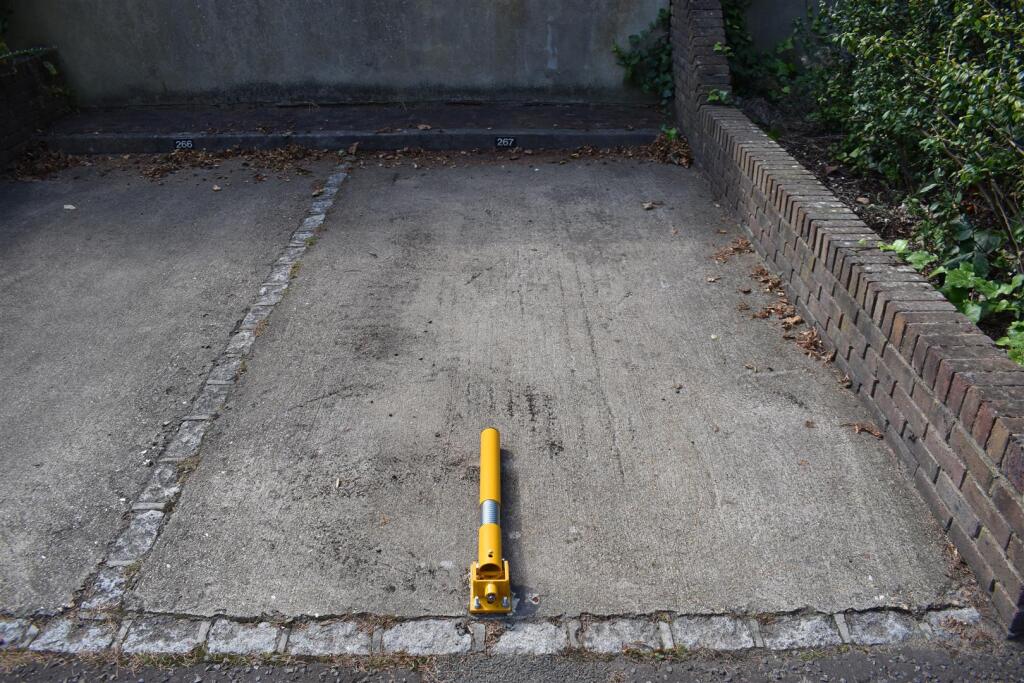 DSC_0500.JPG